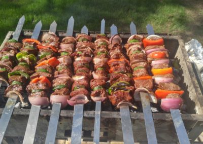 Shish Kabobs